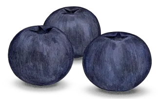Blueberries