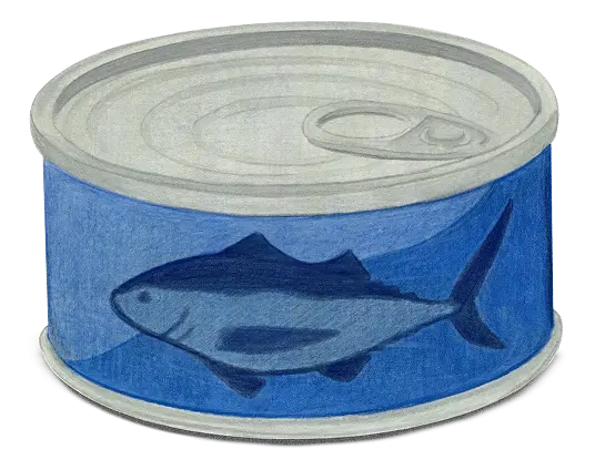Canned Tuna