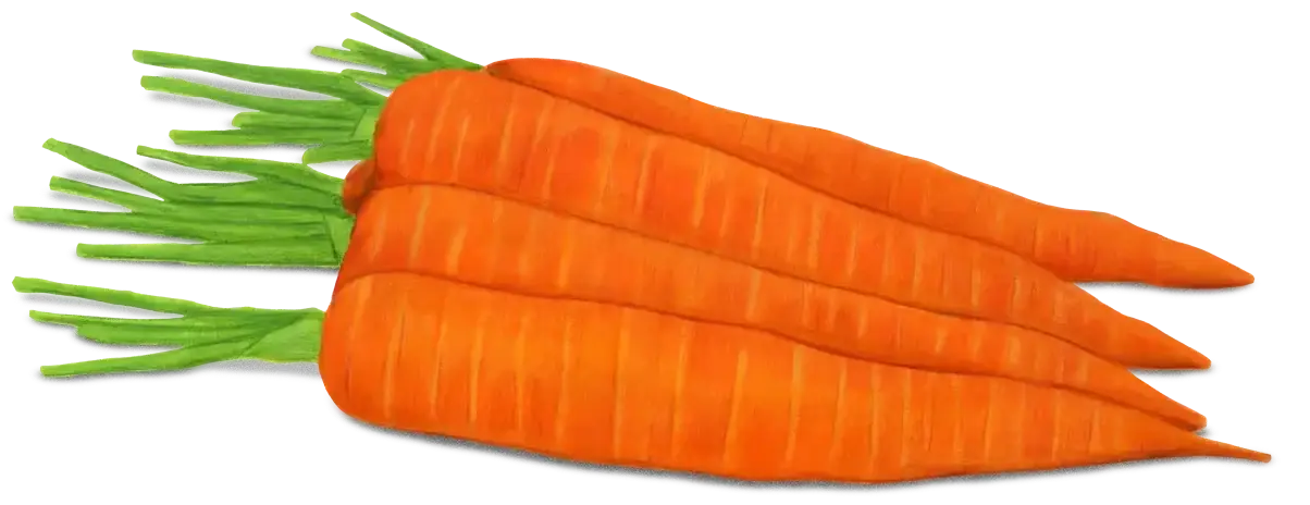 Carrots