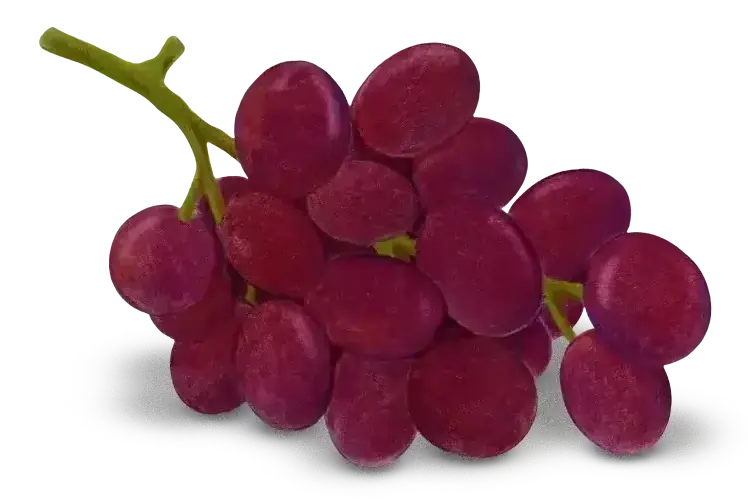 Grapes