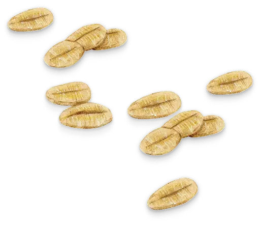 Rolled Oats