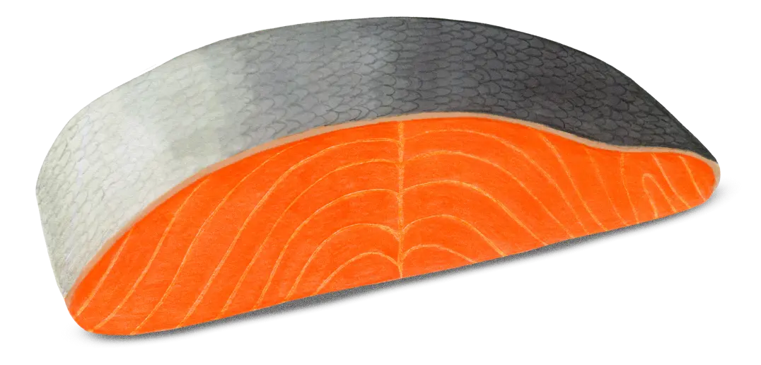 Salmon