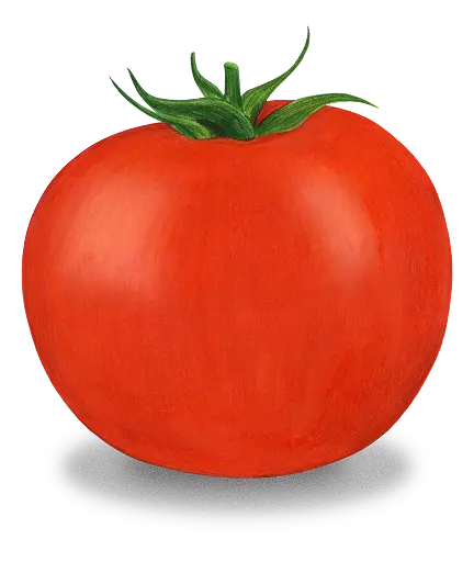 Tomatoes